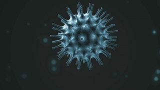 新型コロナ　The Coronavirus
